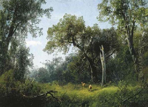 Deer In A Meadow - view 1