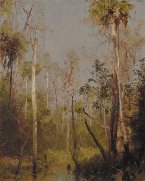 Florida Landscape - view 1