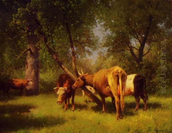 Cattle Grazing In The Woods - view 1