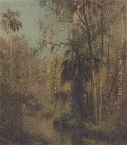Edge Of The Everglades - view 1