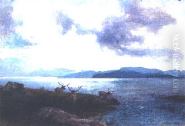 Elk By A Lake - view 1