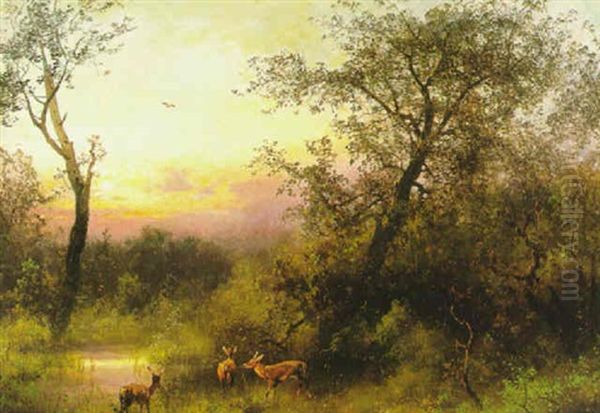 Deer By A Stream In A Clearing - view 1