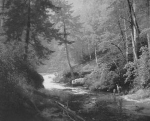 Deer Beside A Woodland Stream by Hermann Herzog