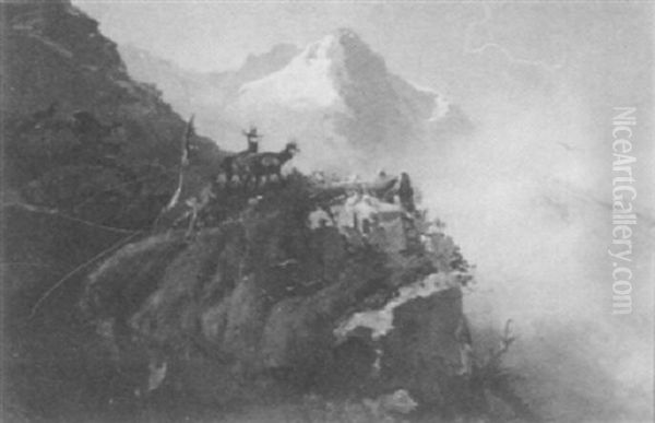 Mountain Goats - view 1