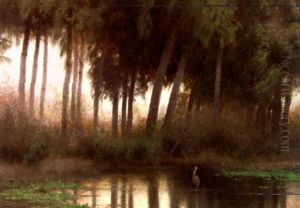 Heron In The Everglades