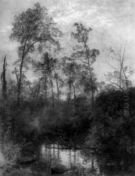 Swamp Landscape In Summer - view 1