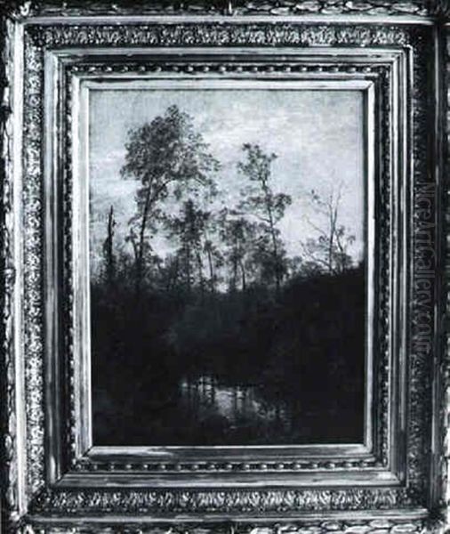 Landscape - view 1