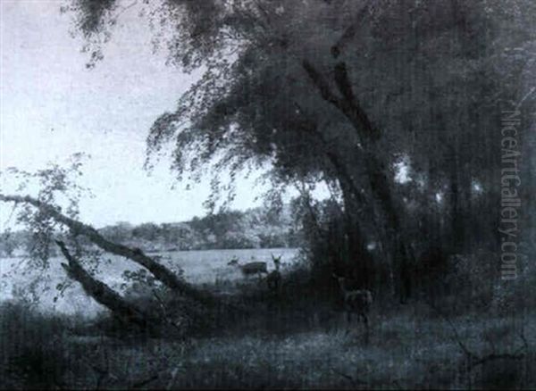 Deer In A Wooded River Landscape - view 1