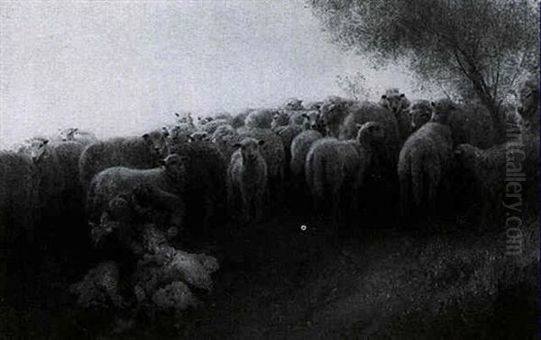 Sheep Shearing At Dusk - view 1