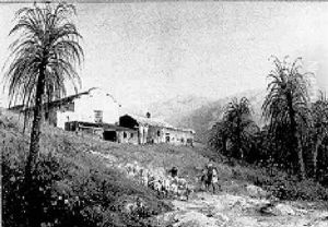 Tropical Landscape by Hermann Herzog