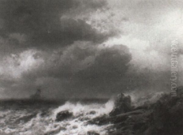 Rough Coast With Gulls And Ship At Sea - view 1