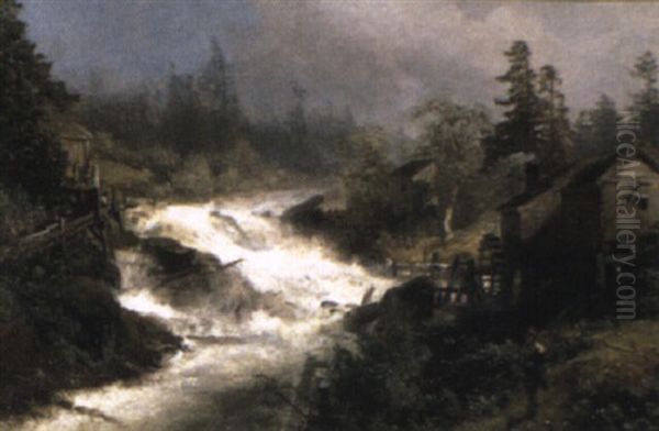 A River Torrent In A Wooded Landscape - view 1