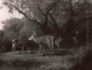 Deer Feeding In A Clearing by Hermann Herzog