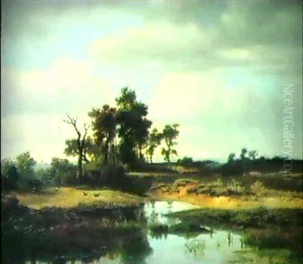 Norddeutsche Teichlandschaft - view 1