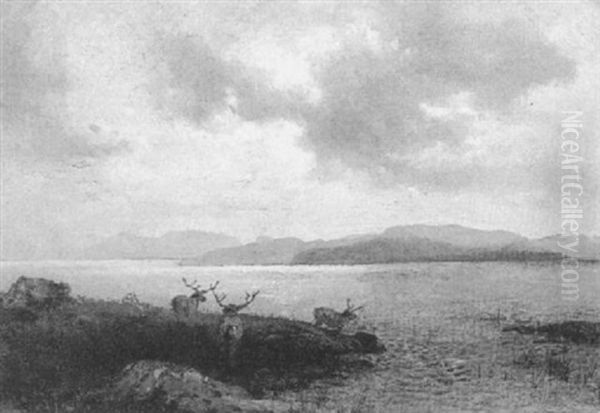 Stags By A Lake - view 1