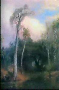 Southern Swamp