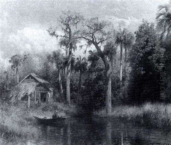 In The Florida Marshes - view 1