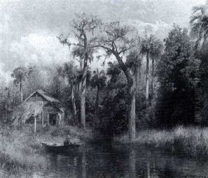 In The Florida Marshes