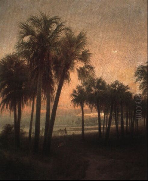St. John's River, Florida - view 1