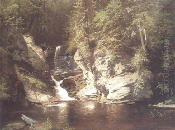 Woodland Pool - view 1