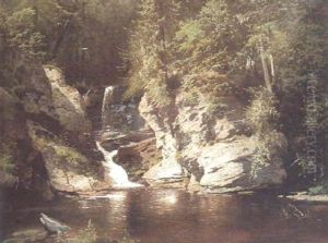 Woodland Pool Woodland Pool