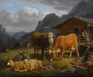 Auf Der Alm