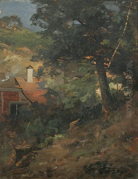 Baumbestandener Berghang Bei Einem Haus - view 1