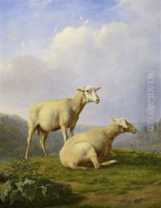Schafe Auf Der Weide by Georg Heinrich Hessler