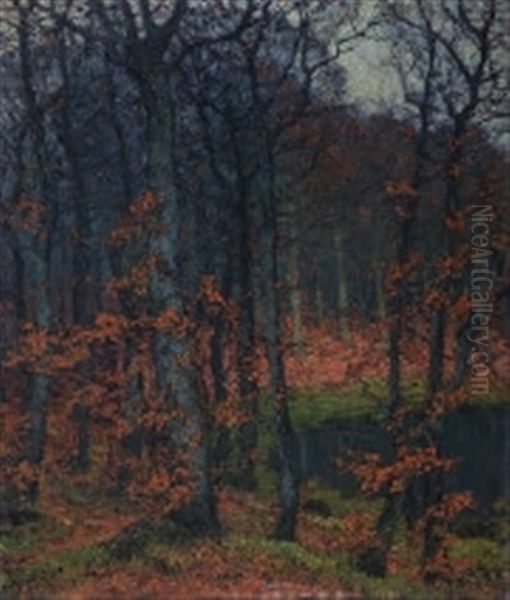 Herbstliche Waldlandschaft Mit Tumpel - view 1