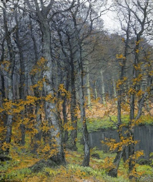 Herbstliche Waldlandschaft Am Abend - view 1