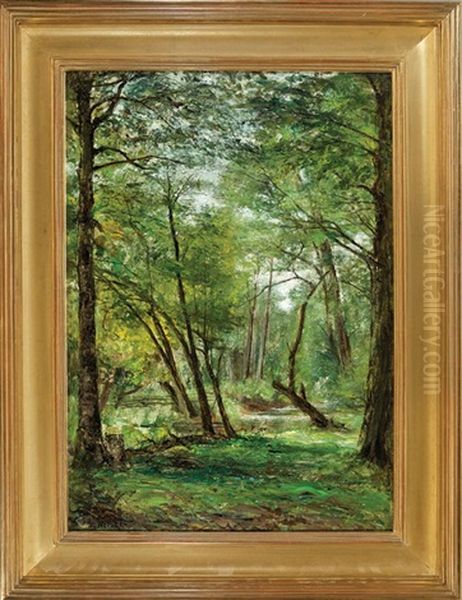 Creek In The Woods - view 1