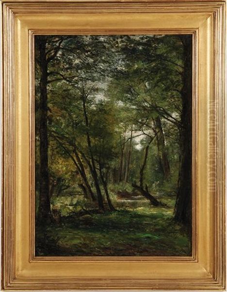 Creek In The Woods - view 1