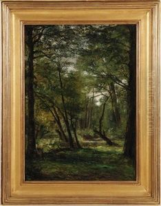 Creek In The Woods