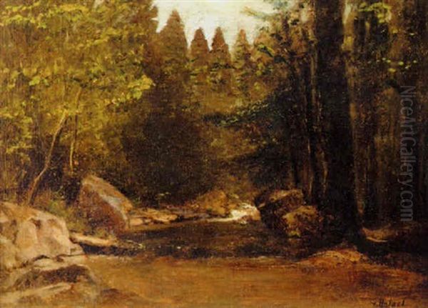 Woodland Pool - view 1