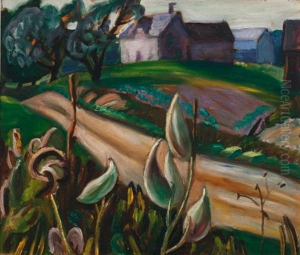 Country Road With Farm Buildings And Milkweed - view 1