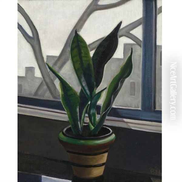 Still Life Of A Plant On A Window Sill - view 1
