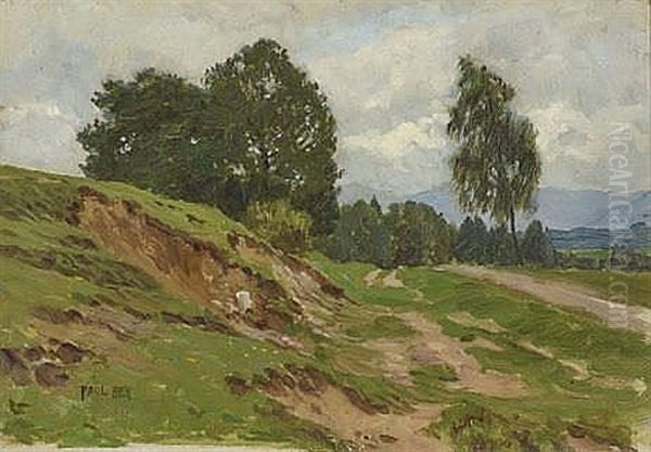 Wiesenlandschaft - view 1