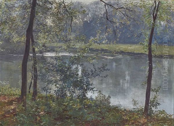 Trees At A Pond - view 1
