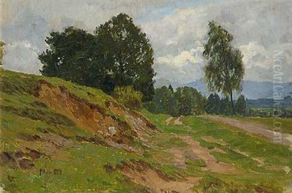 Landschaft Bei Kochel - view 1