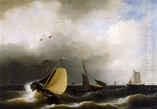 Sailing Vessels Off The Coast - view 1