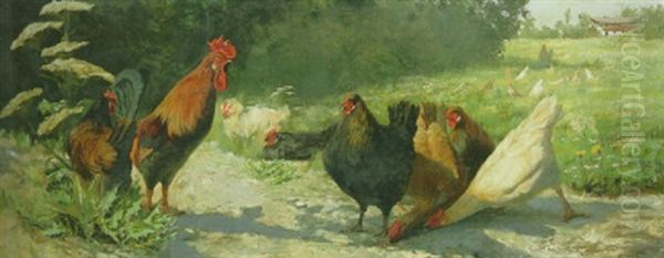 Poultry In A Meadow - view 1