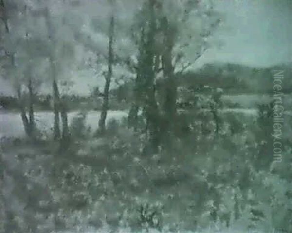 Flusslandschaft - view 1