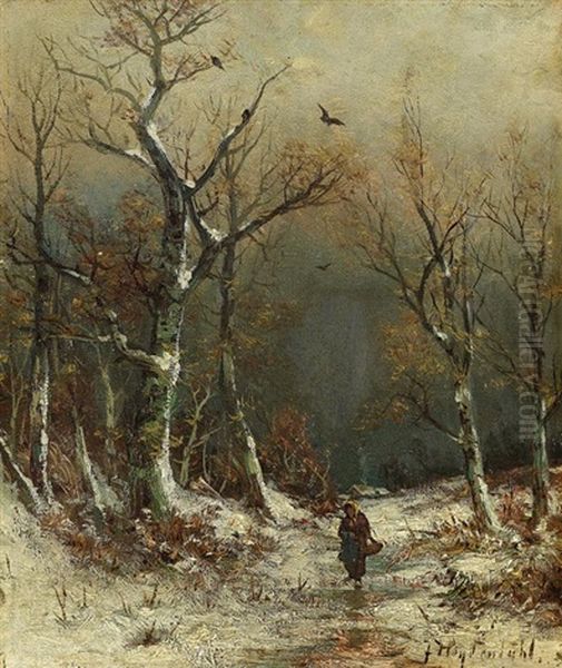 Winterliche Waldlandschaft - view 1