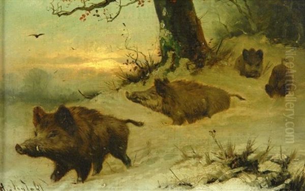Wildschweinrotte Im Verschneiten Winterwalde - view 1