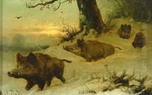 Wildschweinrotte Im Verschneiten Winterwalde