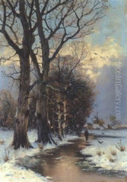 Abend Uber Niederrheinischer Winterlandschaft - view 1