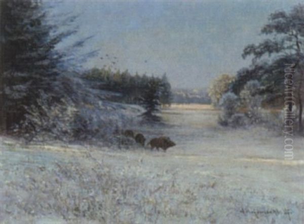 Rotte Wildsauen In Winterlandschaft - view 1