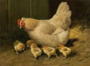 Mother Hen And Her Chickens Mother Hen And Her Chickens