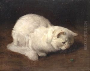 Persian Cat, Watching A Beetle by Arthur Heyer