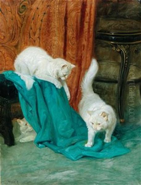 Cats Playing - view 1